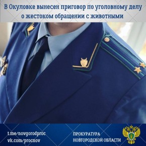 ������� ����� ��������� ������� � 16 ����������� ��������� ������ � �������� ������������� ����������� ����������� ������ ����� ������������� �������� �� ���������� ���� � ��������� 41-������� �������� ������ ������ ���������