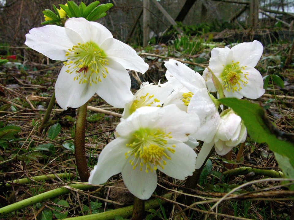 ���������: ���������� ������� ���� � ������� �� �����