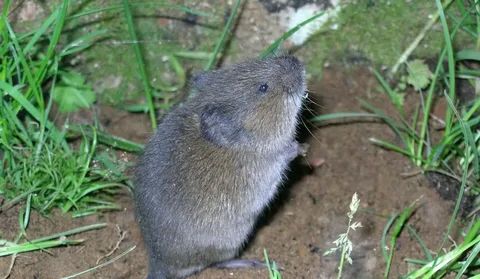 ��� �������� �������� ������ ������� �� ����� � ��������� ������