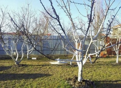 ��� ��������� ���������� �������� ������� � ������