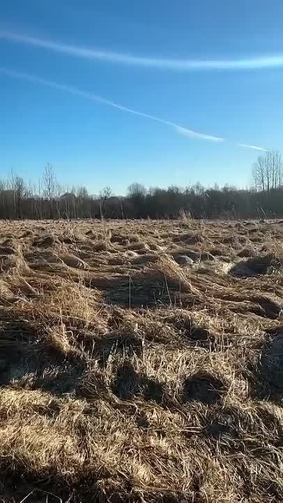 ������������ ��������� ���� �������� �� ���� ������� ����, ������� ��������� ������� ����� ������