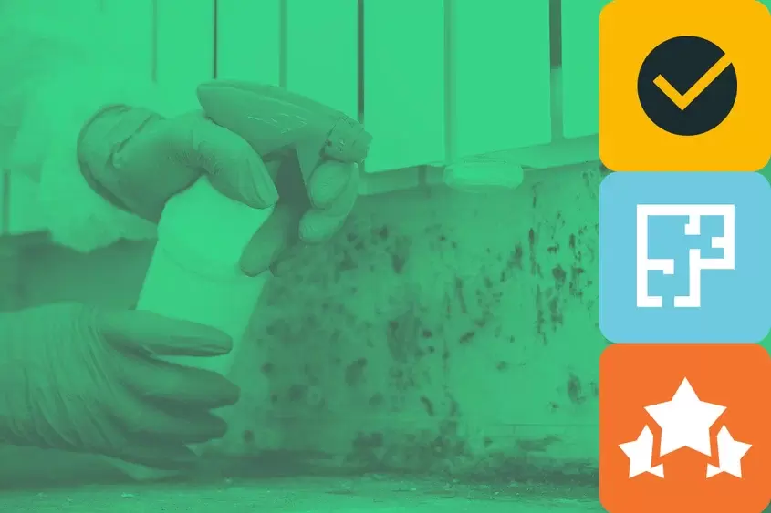 Как избежать плесени в вашем доме: причины появления и риски для здоровья