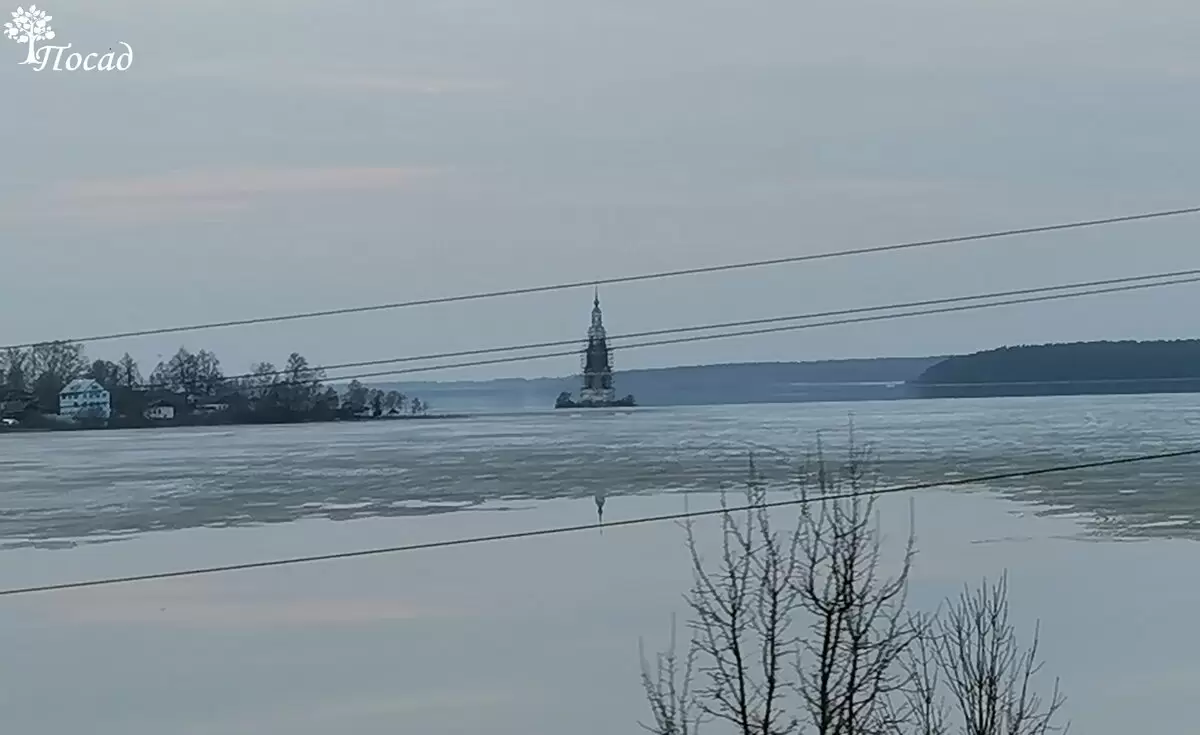 Дренажный насос: надежный помощник в борьбе с водой на участке