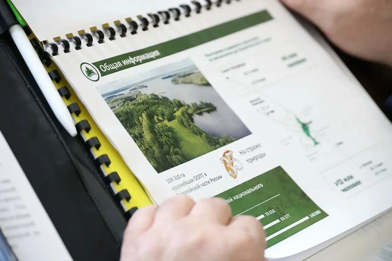 Национальный парк «Валдайский» планирует побить рекорд по посещаемости Национальный парк «Валдайский» планирует побить рекорд по посещаемости