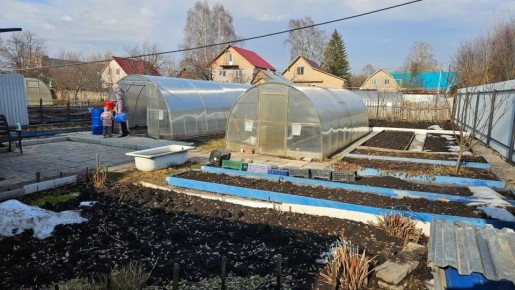 Ошибки в подготовке теплицы: уроки на собственном опыте