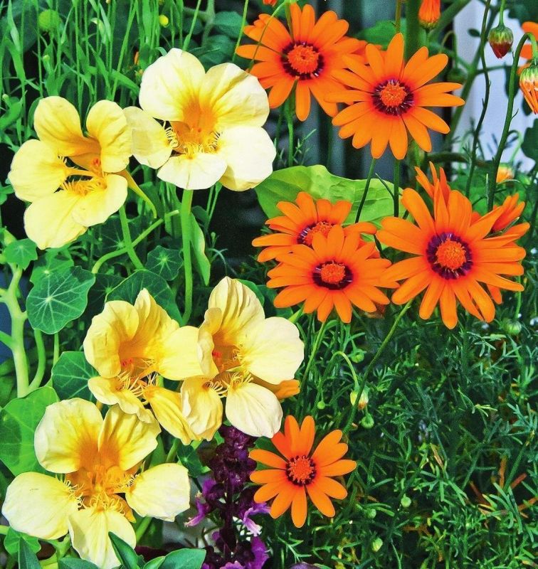 ��������� ������� � ���� ������: �������� ������ �������� � ����� �������