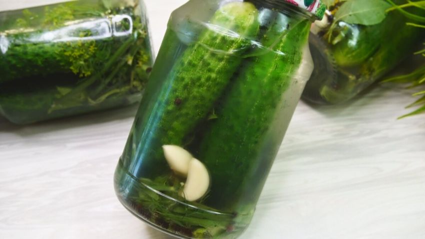 ������ �� ����: ������� ��������� �������, ������� �� ������� ������������