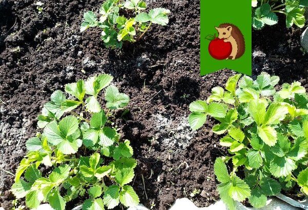 ������������ ������ �� ����� �� ���������, ������� ����� ��������� ����� ���������