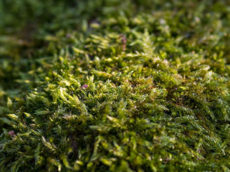 ��� ��� ������� ���������� �� ��� � �������� �����