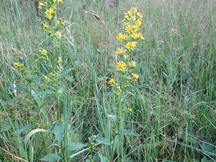 ���������� ������������: ������������ �������� ����� � ��������� ����������