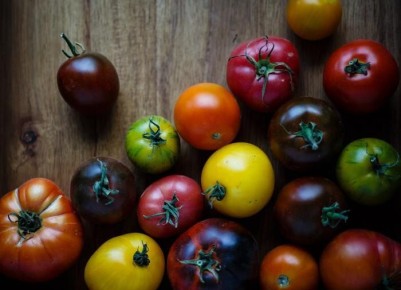 Необычные томаты: черные и белые сорта, которые покорят ваши грядки