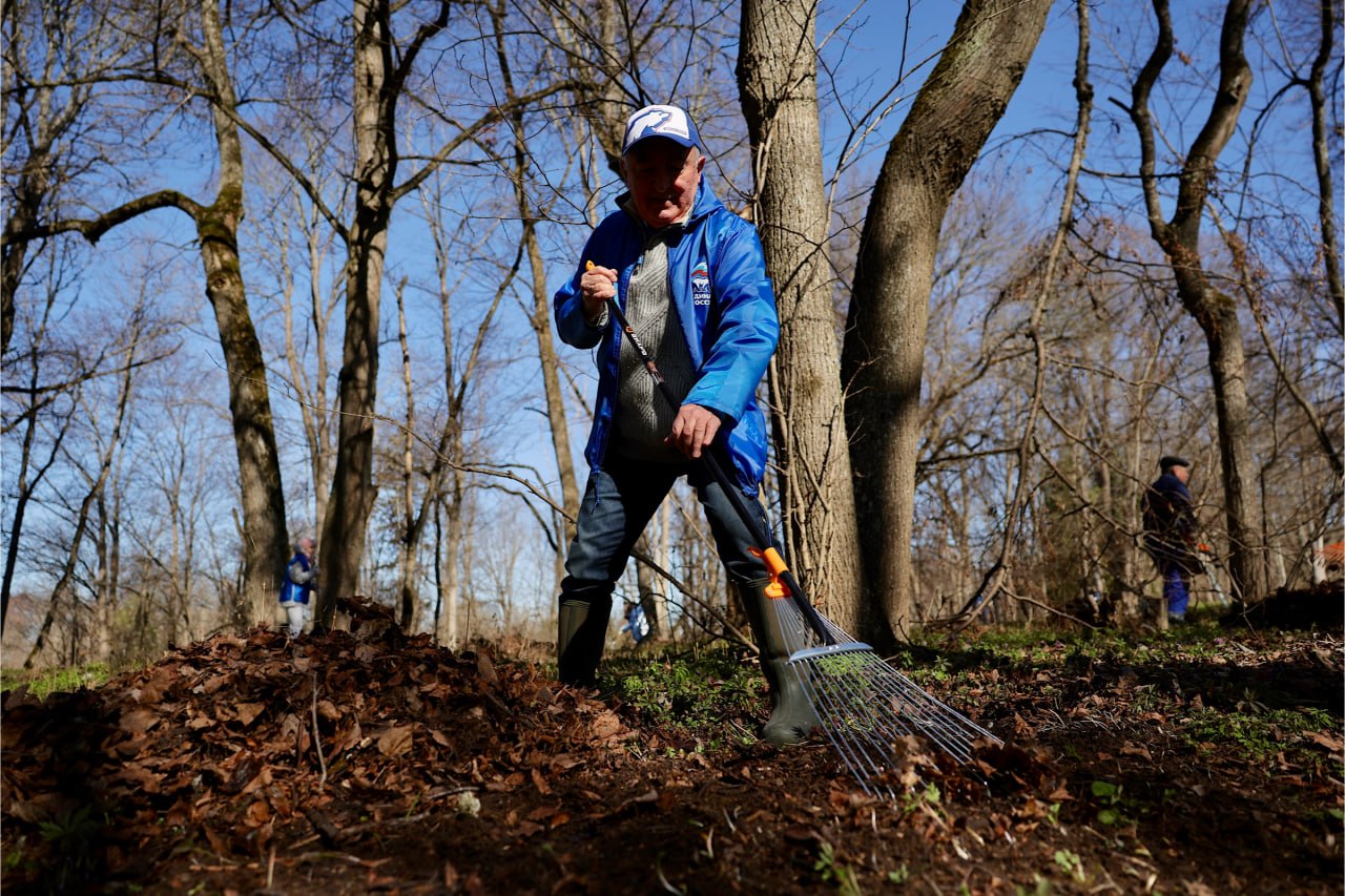 В парке усадьбы Выбити Солецкого округа прошла «Генеральная уборка» В парке усадьбы Выбити Солецкого округа прошла «Генеральная уборка»