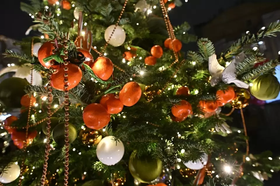 В Железноводске снова устроят фестиваль чистки мандаринов и выбор победителя