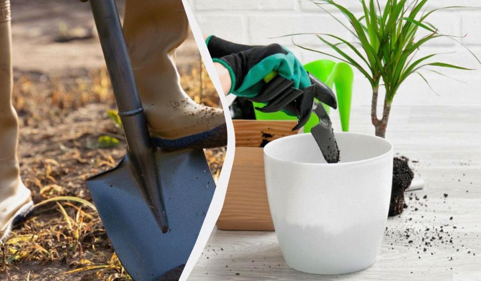 ������: ��� ������������ ���� � ������ � ������� ������� ���������