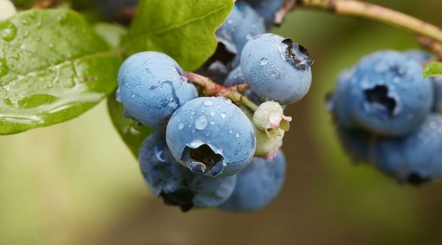 �������� ��� ���������: ������� �������� ������ �� ������ �� �����