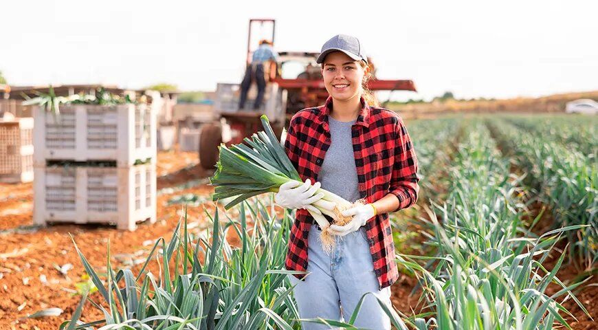 ������� �������� ����-�����: ��������� �������� �� ������ �����