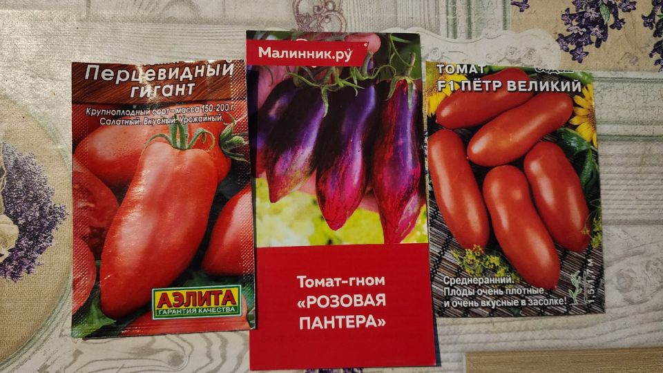 �������� ������: ��� ������ ����������� ����� ��� ������ ����