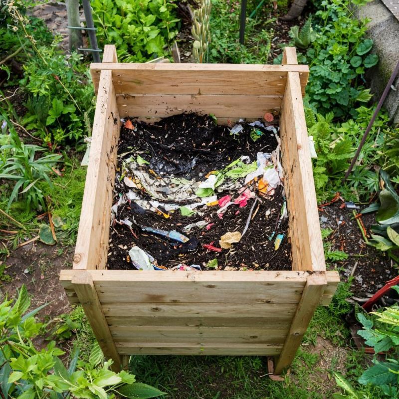 ��������� �� �����: ���������� ������� � �������� �������� ���������