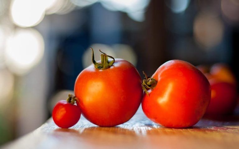 ������ ��� �������� �������: ���������� � ��������