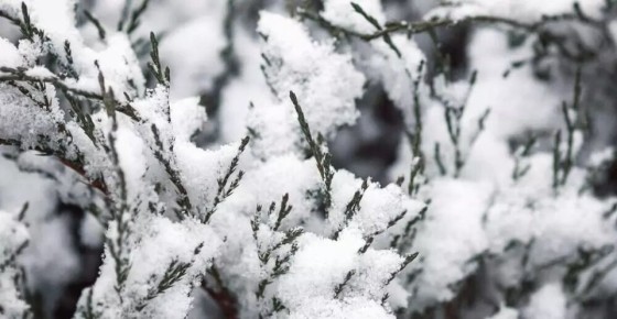 ������ ��������� ��� ��������: ��� �������� �������� �� ������ �����