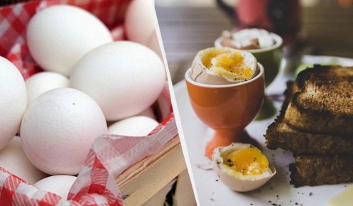 Как сварить идеальные яйца с нежным желтком: секреты от шеф-повара