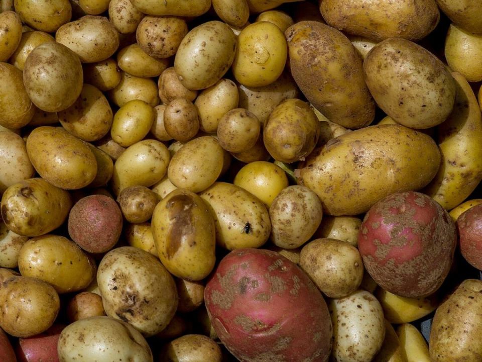 ��� ��������� ������� ������� ��� ���������: ������� ��������� ������