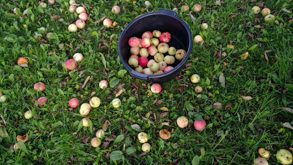 �������� �������: ��� ������������ ������ ����� � ������� ��������� ��� ������