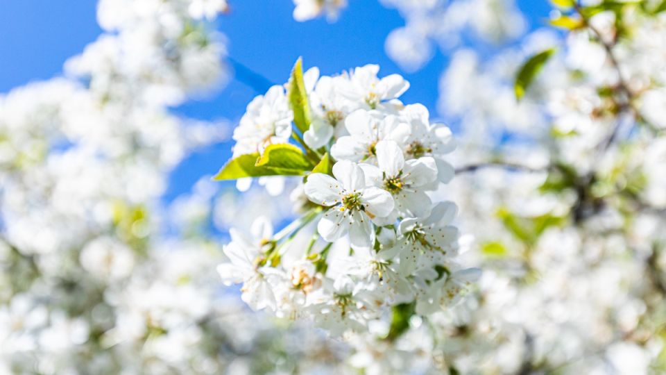 ��� ������� ��������� ����� ����� ��� ������ ����: ������ ���������