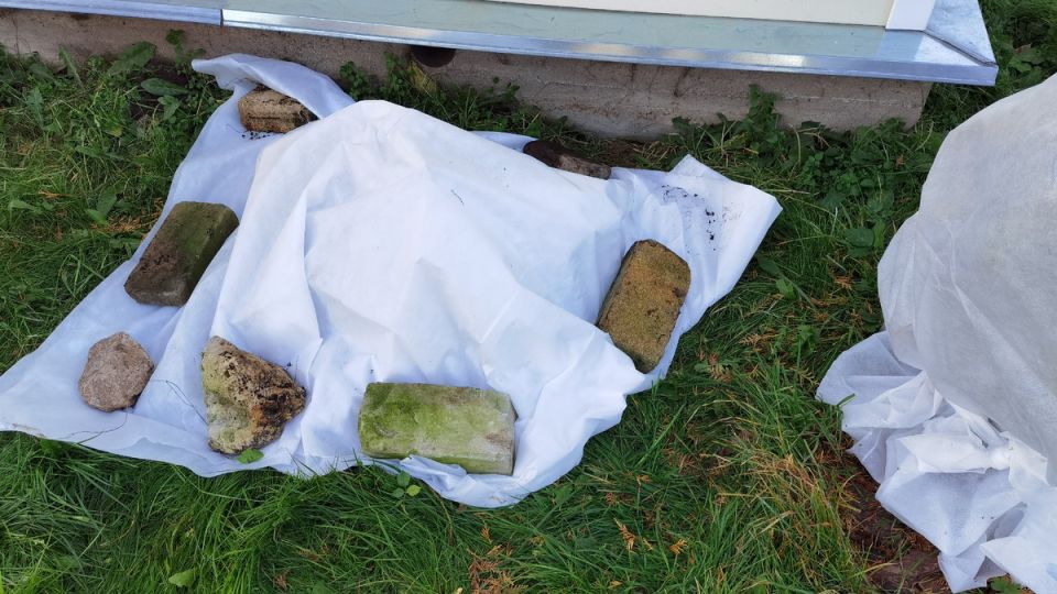 ��� ��������� ������� ������ ������� ������� ���