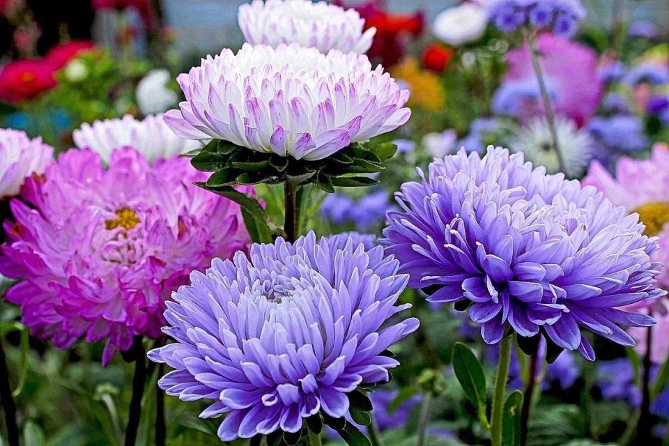 ��� �������� �������� ����: ������� ��� ������ ����