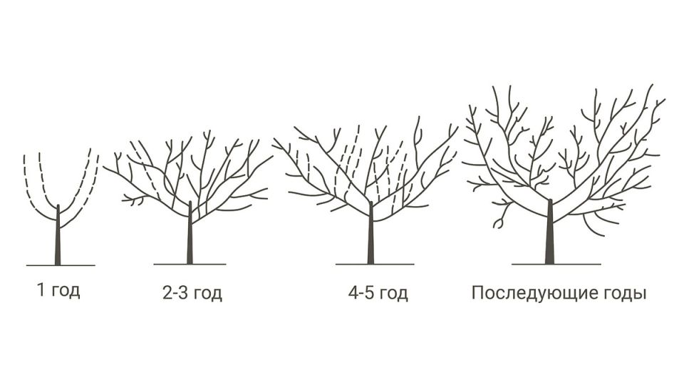 ��� ��������� �������� ������ � �����: ������ ��� ����������