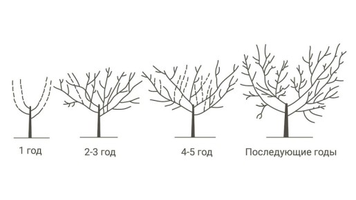 ��� ��������� �������� ������ � �����: ������ ��� ����������