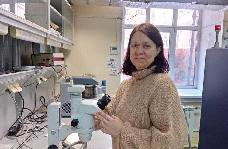 ������ ����-���������� ������������ ����������� ��������� � ���������