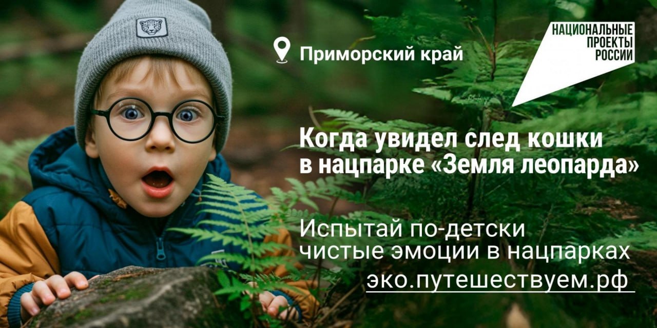 Прогуляться по хвойному лесу, увидеть вблизи лису, послушать звуки живой природы – сегодня такой отдых становится всё популярнее!