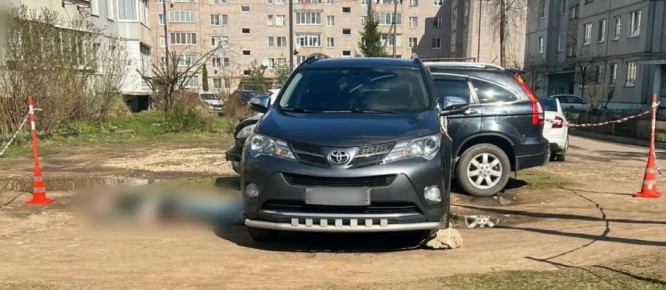 В Боровичах выехавшая из гаража «Тойота» насмерть сбила пенсионера