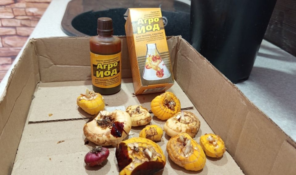 ��� � �������: ������ � ����� ��� ����� ��������