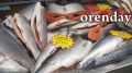 Праздничное угощение: сколько стоит рыба на новогодний стол в Оренбурге