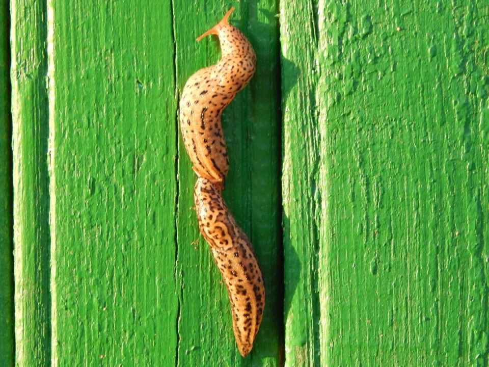 ������: ��� �������� ����� ������ ������ ����