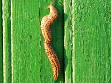 ������: ��� �������� ����� ������ ������ ����