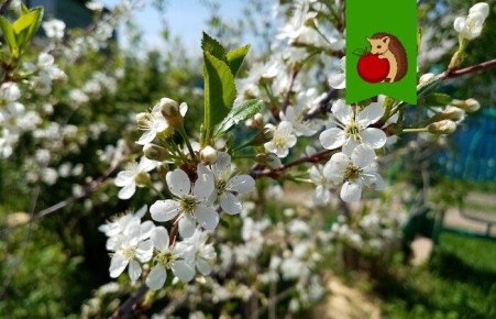 ��� ������� ������, ����� ����� �������� ������� �������: ������ �� ����� � ����� ��������