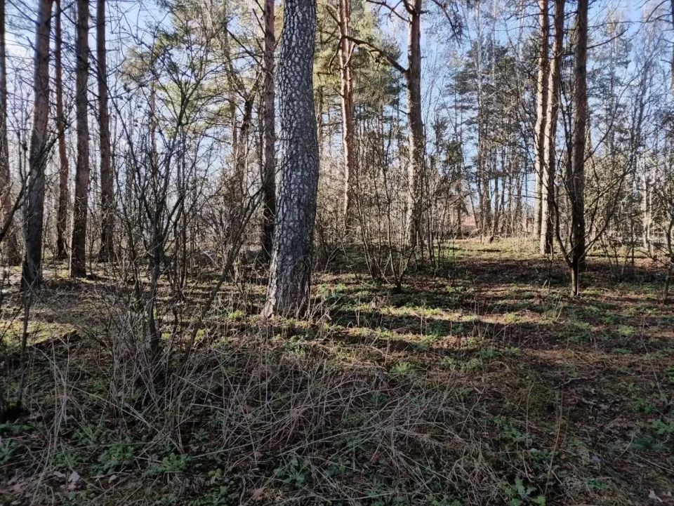 ��� ���������� ������ �� ���� ������������� �������