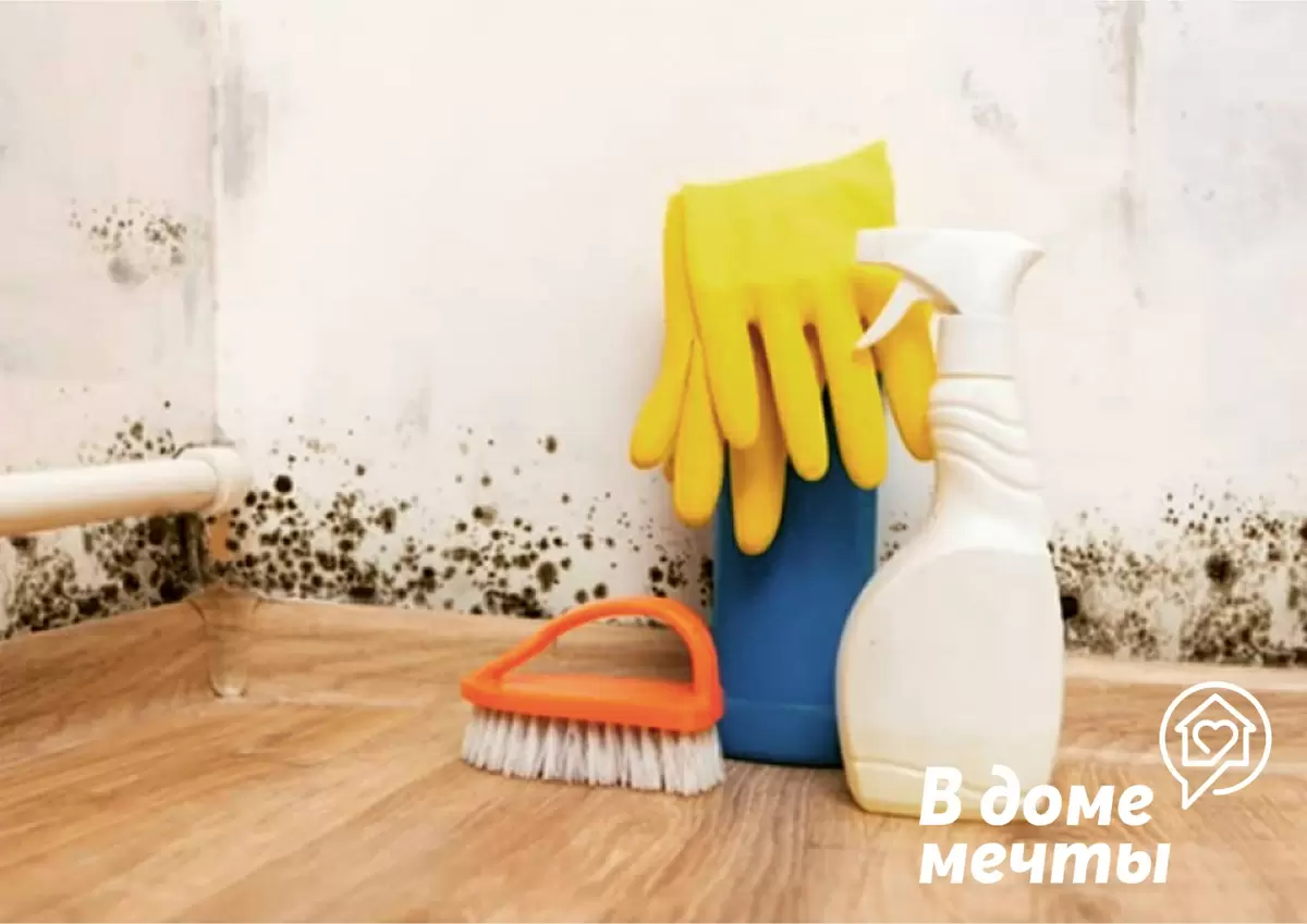 Эффективные способы борьбы с плесенью: советы по народным рецептам