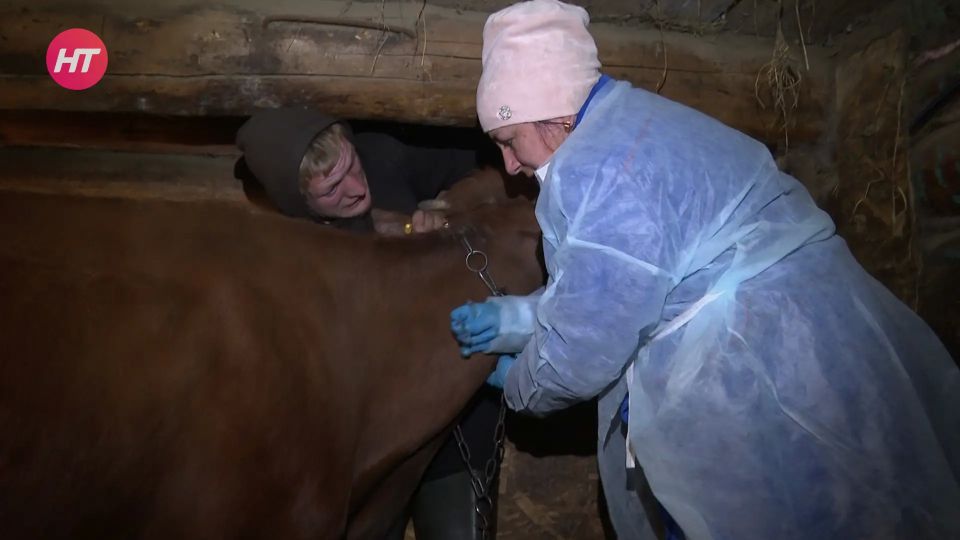 ������������ ���������� ��������� �������� � �������� ����������