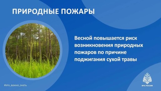 Весной возрастает риск природных пожаров