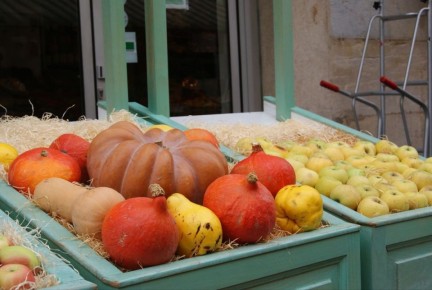 ����� � ���������: ��� ���� ������� �������� ���������� �� �������