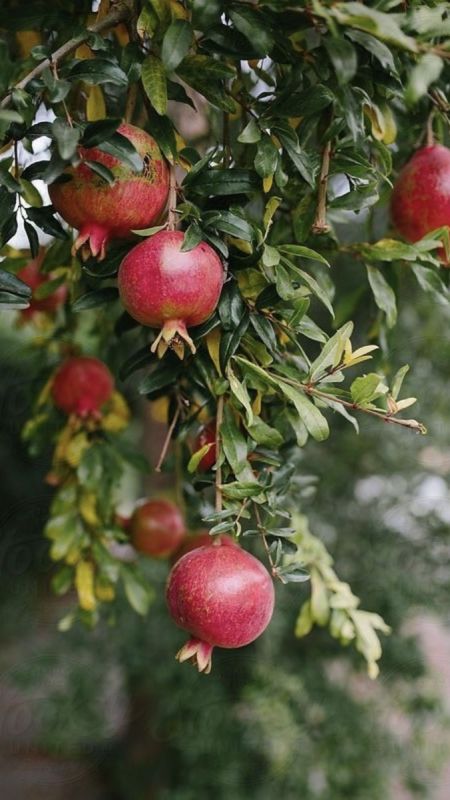 ������ � ������� ������: ��� ��������� ������������ ���� � �������� ������