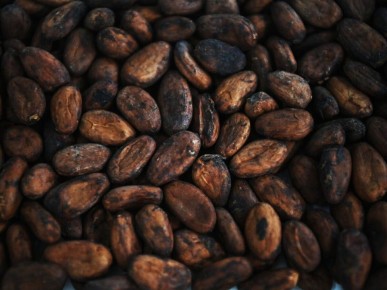 Цены на какао: глобальный спад на фоне драматических изменений на рынке