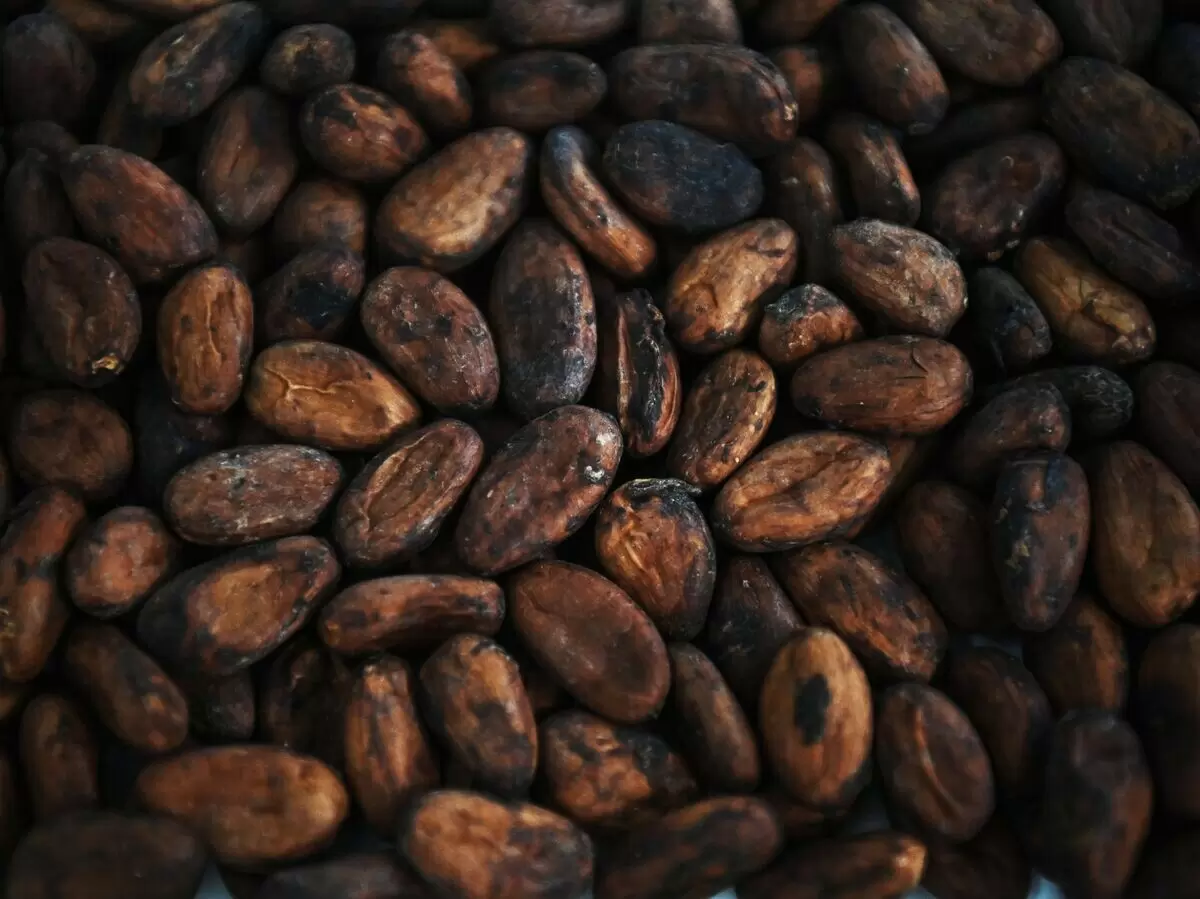 Цены на какао: глобальный спад на фоне драматических изменений на рынке