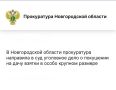 Прокуратура Новгородской области направила в суд уголовное дело в отношении директора коммерческой организации, обвиняемого в совершении преступления, предусмотренного ч. 3 ст. 30, ч. 5 ст. 291 УК РФ (покушение на дачу...
