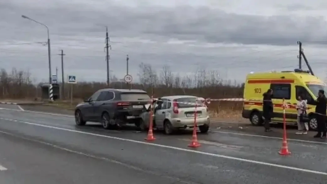 Под Великим Новгородом в ДТП пострадали 8-летняя девочка и 2-летний мальчик Под Великим Новгородом в ДТП пострадали 8-летняя девочка и 2-летний мальчик